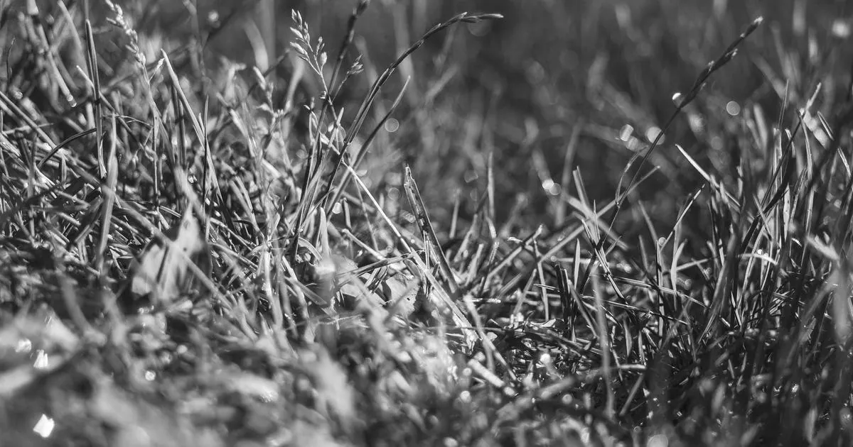 Best Things to Do Near Lake Atitlán: A Complete Activity Guide for Resort Guests