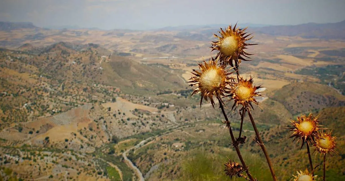 Lake Atitlán Wellness Retreats: Finding Peace in the Guatemalan Highlands